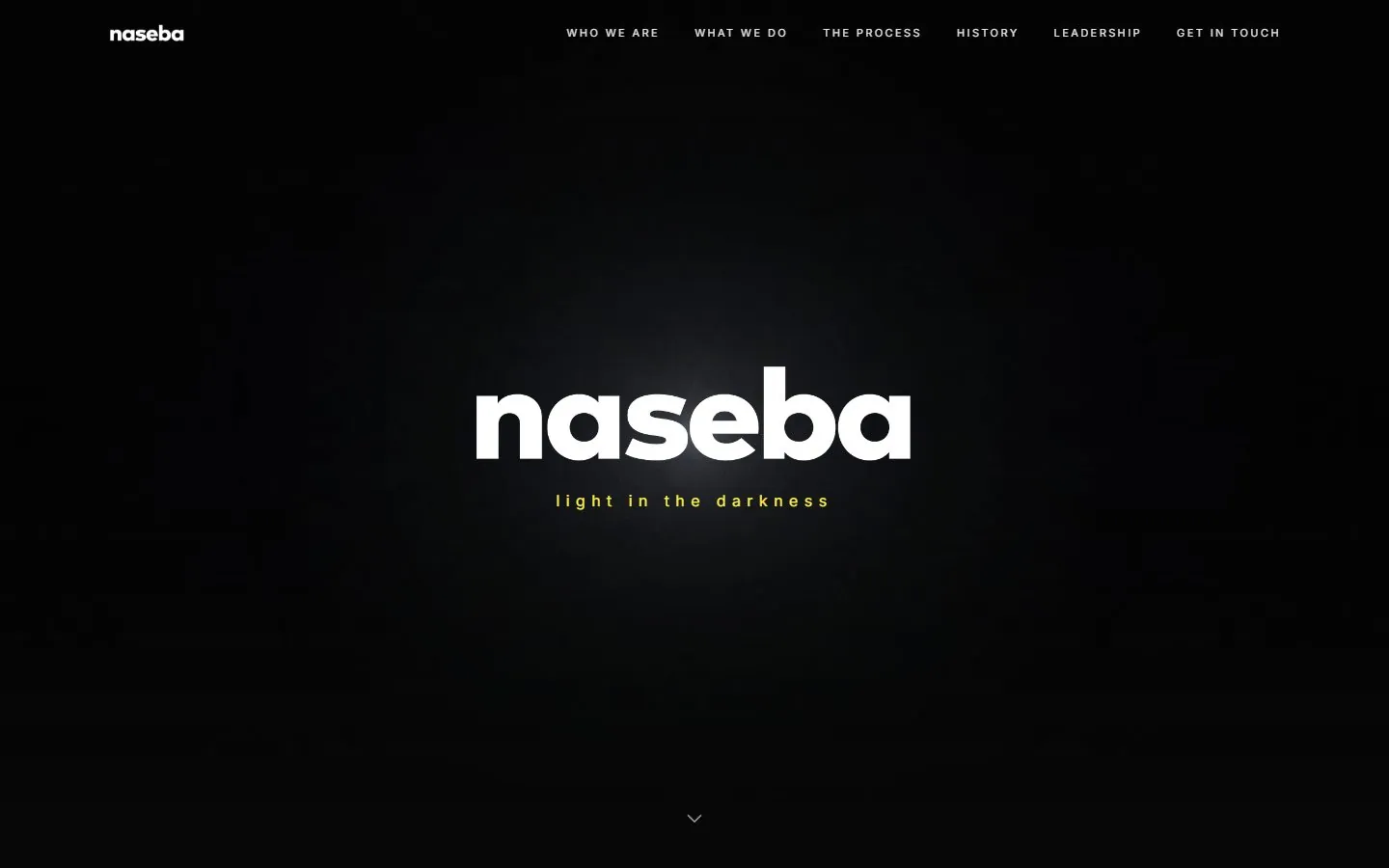 Global Investment Firm Site — Wix Development case study screenshot